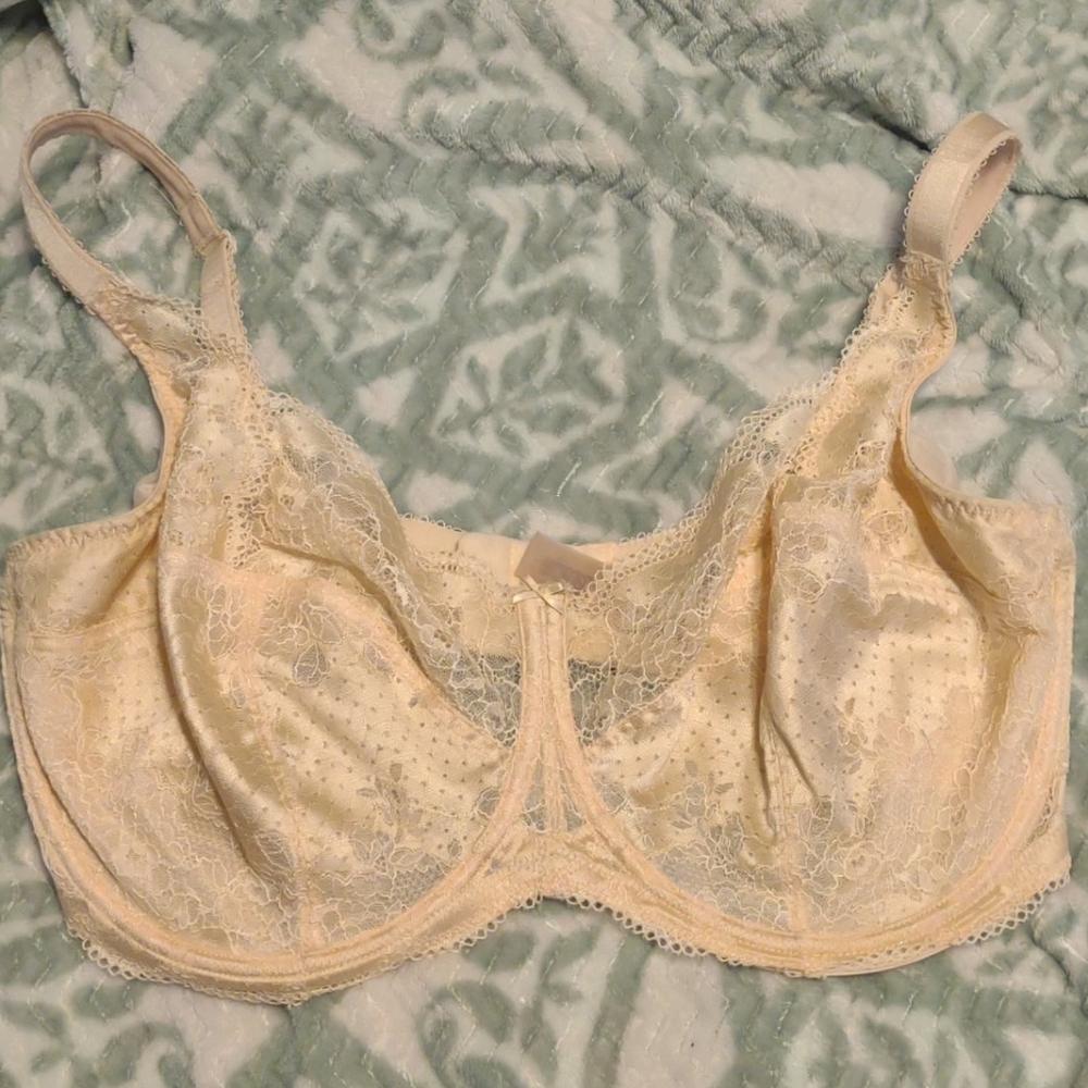 Unlined panache bra 40H